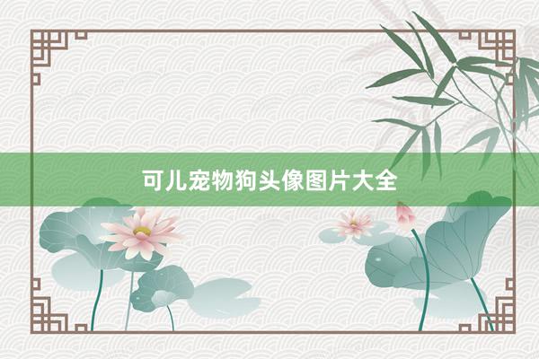 可儿宠物狗头像图片大全