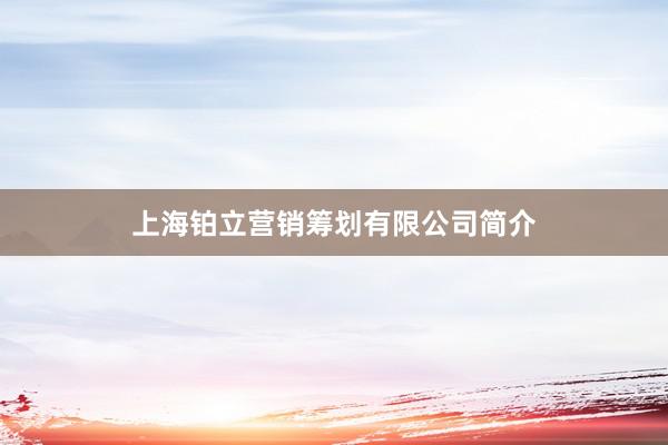 上海铂立营销筹划有限公司简介
